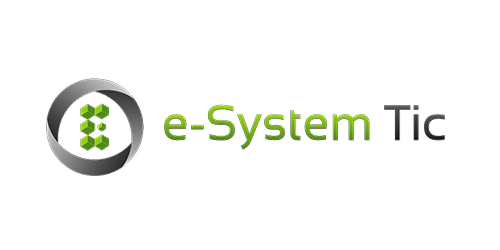 e-system-tic